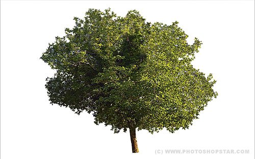 Remove complex background of an image