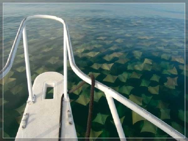 Most Amazing Photographs (44)