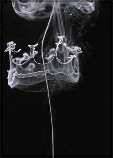 Beautiful Smoke Artworks Photo Collection