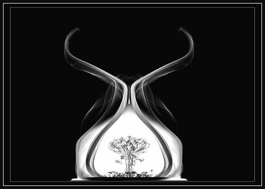 Beautiful Smoke Artworks Photo Collection