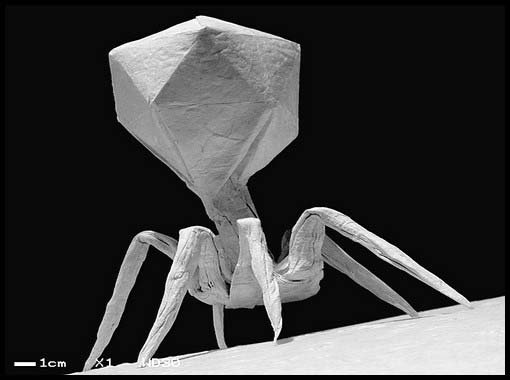 Eye-Catching Origami Artworks
